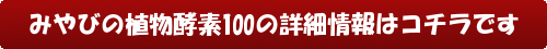 みやびの植物酵素100の詳細情報はコチラです