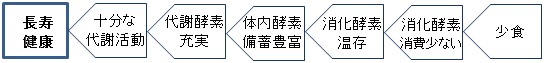 少食による理想的なパターン